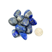 Lapis Lazuli Tumbled Stones